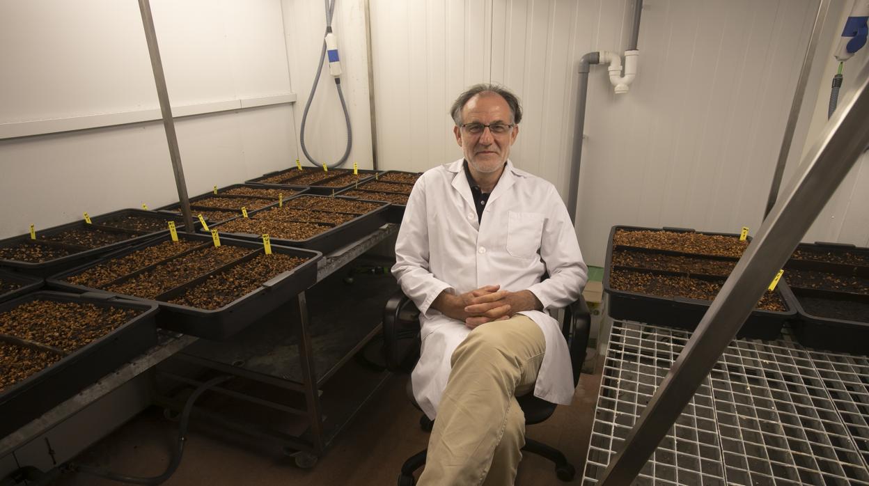 El catedrático, con las pruebas de su laboratorio