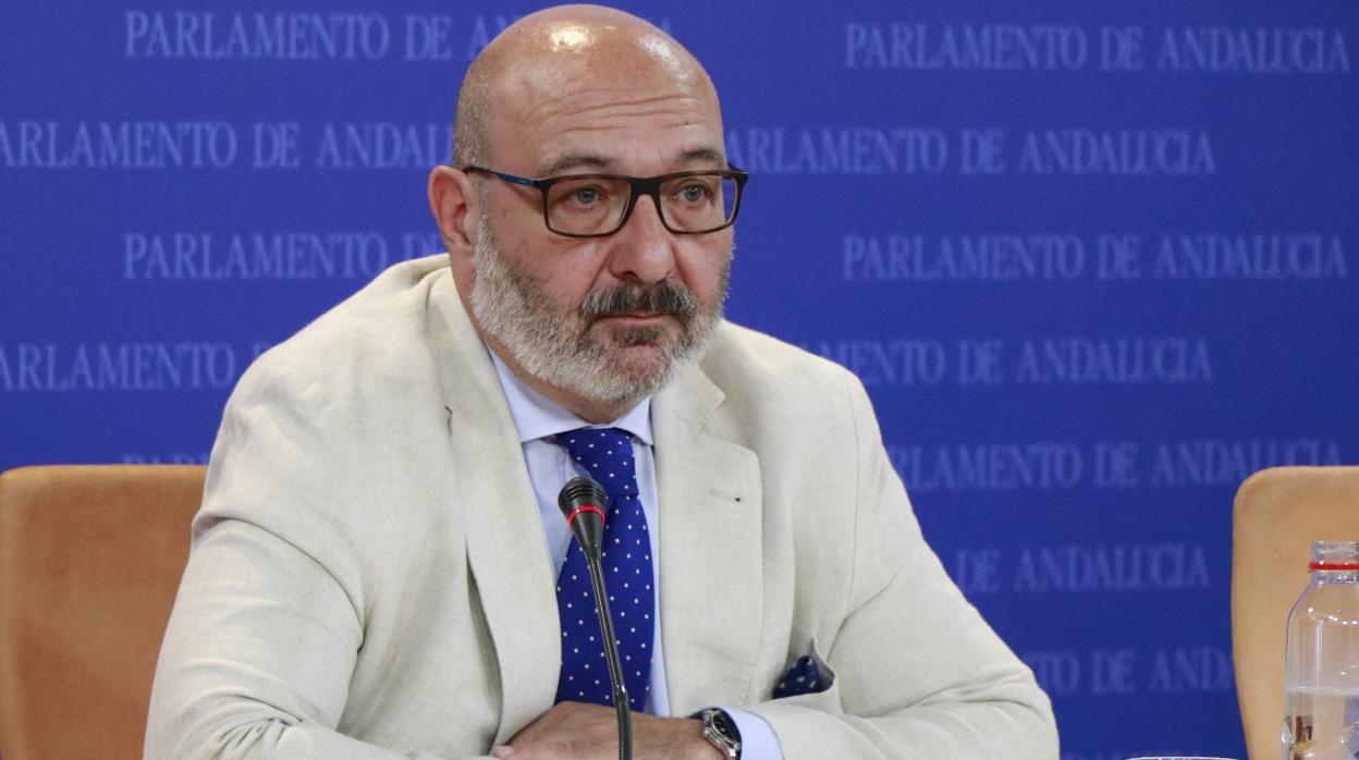 Alejandro Hernández, portavoz de Vox en el Parlamento andaluz