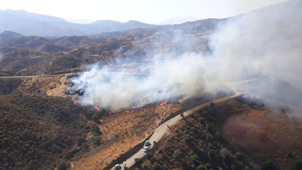 Declarado un incendio en la Loma de los Flamencos de Mijas