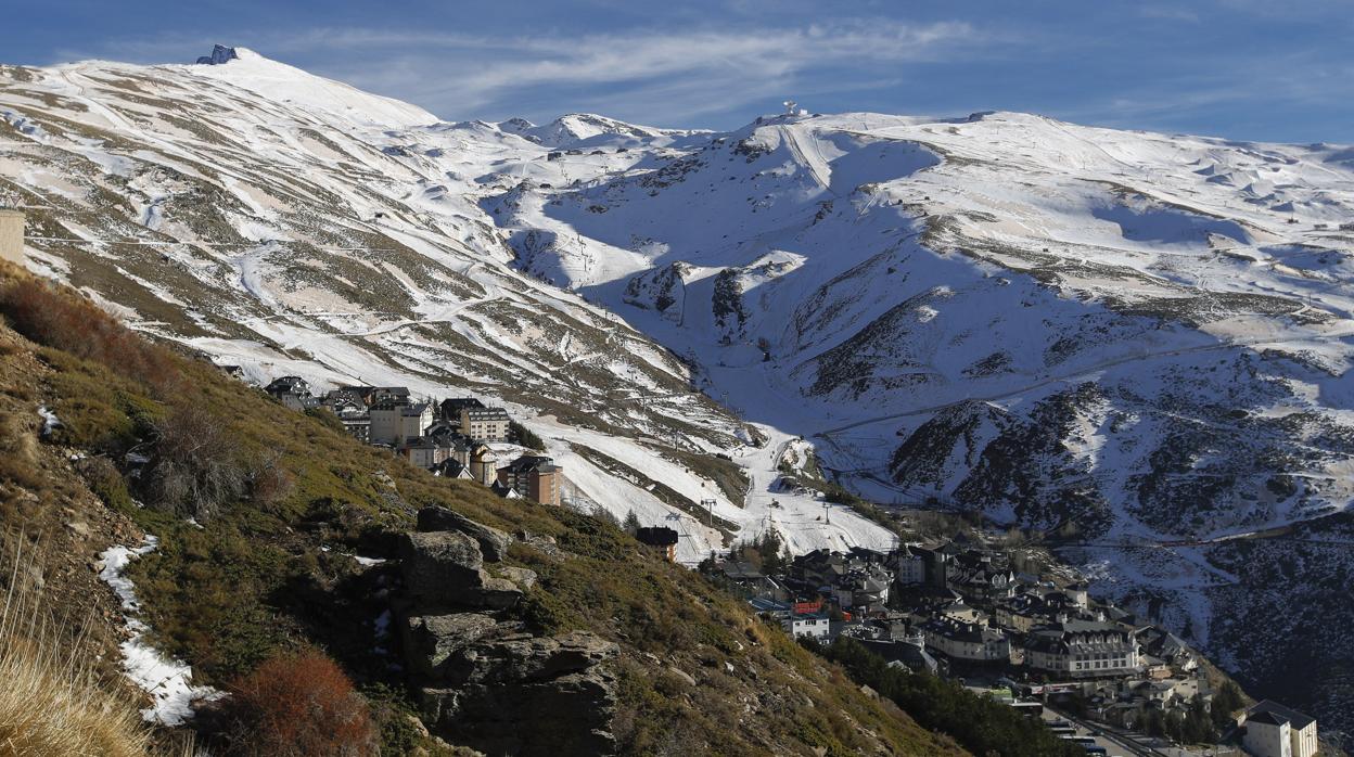 Sierra Nevada cuenta con 80 especies de animales endémicas y 66 especies vegetales únicas