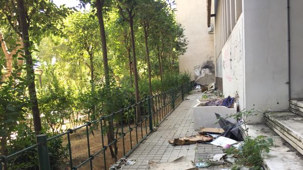 Un estercolero ensucia la imagen de la principal avenida de Jaén