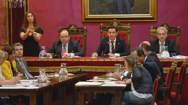 Vox escenifica en solitario su oposición en el pleno de organización del Ayuntamiento de Granada