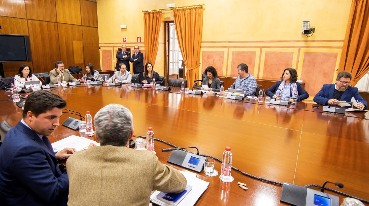 Imagen de la comisión de investigación en su reunión de abril en el Parlamento de Andalucía