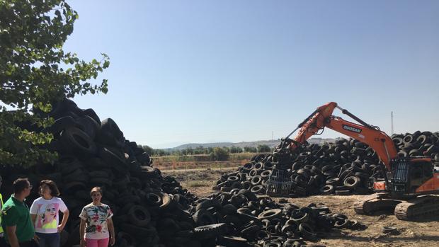 Retiran 8.000 toneladas de neumáticos hacinados en una finca de Mengíbar próxima al río Guadalquivir
