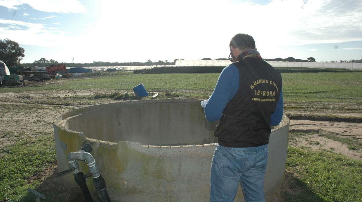 Un agente del Sseprona inspecciona un pozo en el entorno de Doñana