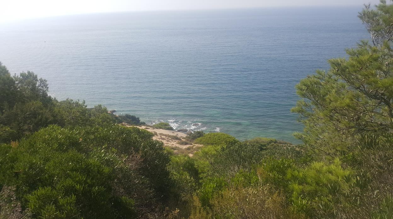 Vista de los acantilados de Barbate desde la Torre del Tajo