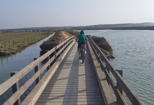 Sendero con puentes de madera de la marisma hasta Vejer