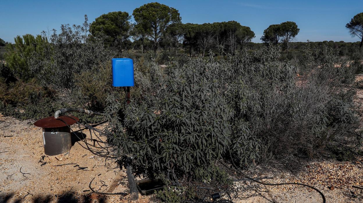 Uno de los pozos ilegales sancioandos en Lucena del Puerto