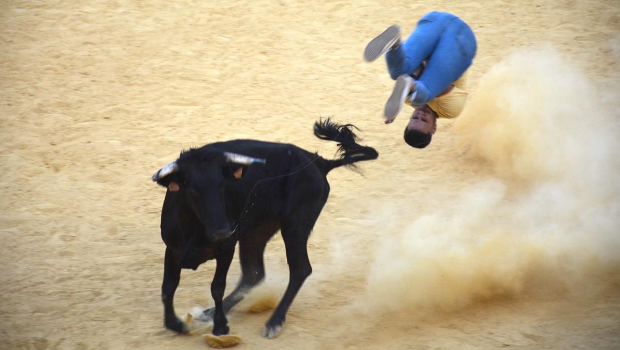 Una de las imágenes que ha dejado el Toro del Aguardiente de San Roque