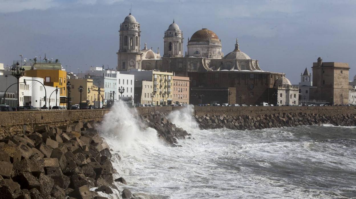 Campo del Sur de Cádiz con la Catedral al fondo