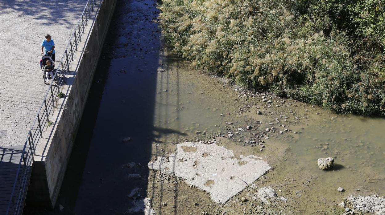 Cauce del río Guadalquivir muy bajo a su paso por Córdoba debido a la sequía