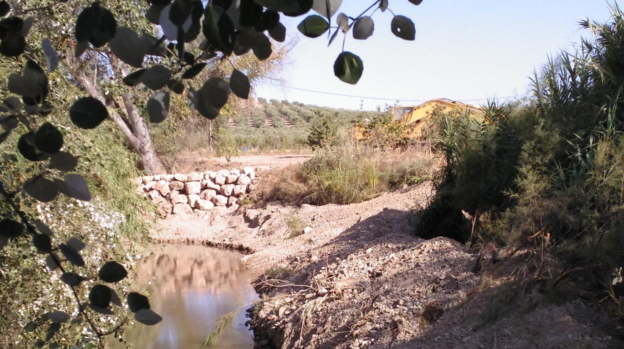 Actuaciones sobre el río Salado en la finca