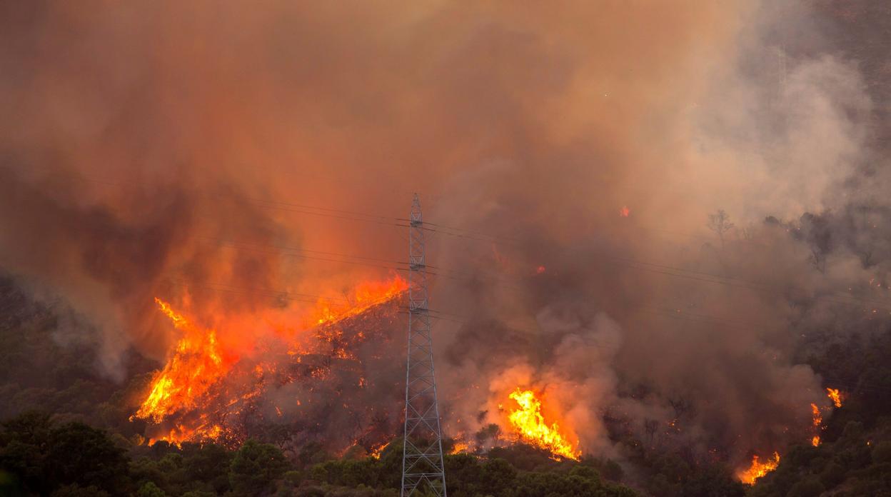 El incendio se ha declarado en Peñas Blancas, paraje de monte de Estepona