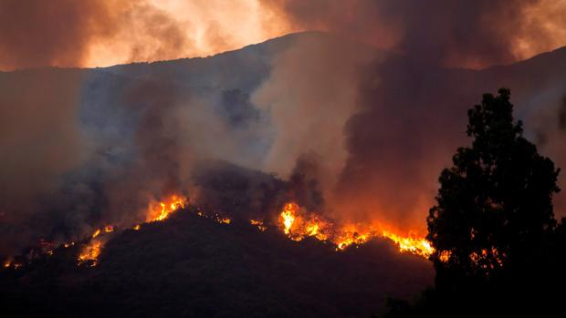 Detenido un hombre sospechoso de haber causado el incendio de Estepona al quemar una colmena