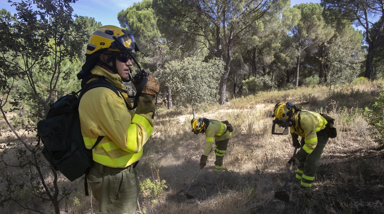 fusible creer técnico El 55 por ciento de los incendios en Córdoba son investigados como  intencionados