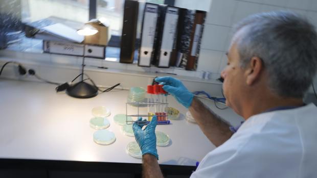 Lomo, chicharrón, manteca colorá, pringá y zurrapa de la marca «La Mechá», sospechosos también de listeriosis