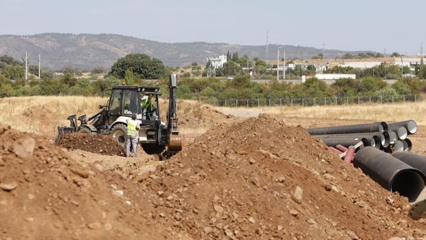 El Parque de Levante pone a prueba el singular modelo de pradera con arboleda, pero sin mobiliario