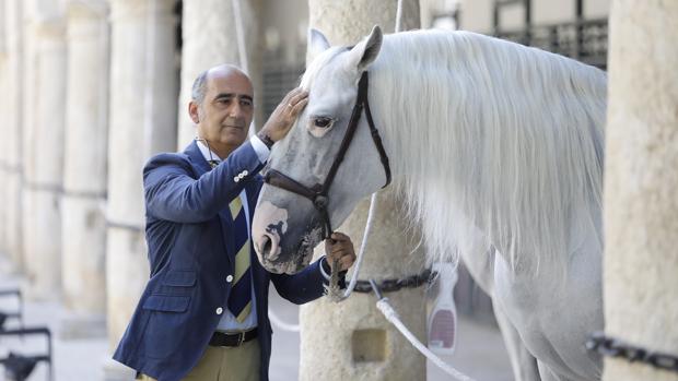 Manuel Moral, Asociación de Criadores de Caballos Córdoba: «Ahora criamos menos pero con más calidad»