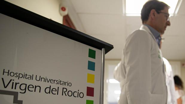 Tres nuevos casos de afectados por listeria en Andalucía, entre ellos dos embarazadas