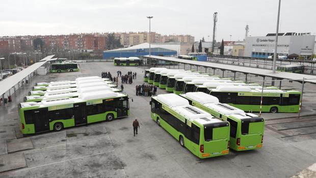 Aucorsa renovará la flota con la compra de 16 nuevos autobuses de gas