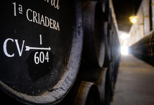 Las de Lustau son bodegas catedralicias