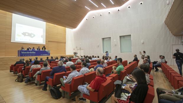 Córdoba perdió 4.000 congresistas en los años de cierre del Palacio de Congresos