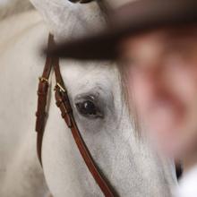 Guía para no perderte nada de la Feria del Caballo de Córdoba Cabalcor 2019