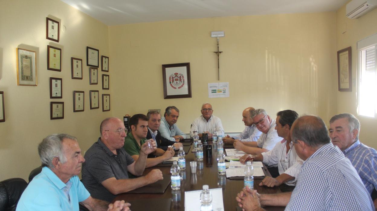 Reunión de dirigentes de la D.O. de Aceite de Baena, agricultores y representantes de UPA