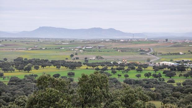 Drones para evitar la propagación de la seca en las dehesas de Córdoba