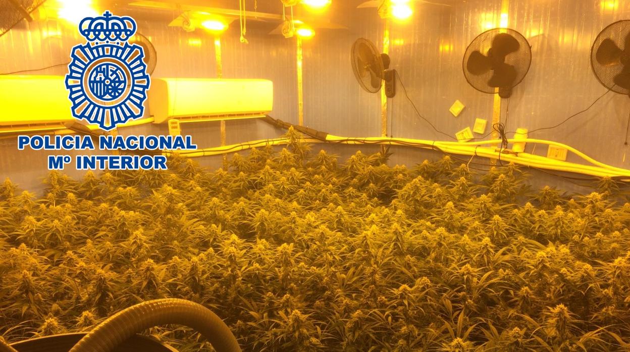 Las instalaciones contaban con todas las herramientas y útiles para el cultivo