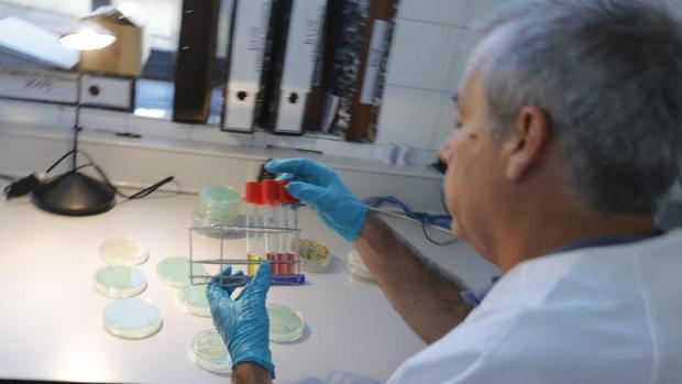 La Junta anuncia el fin de la alerta por listeriosis en Andalucía