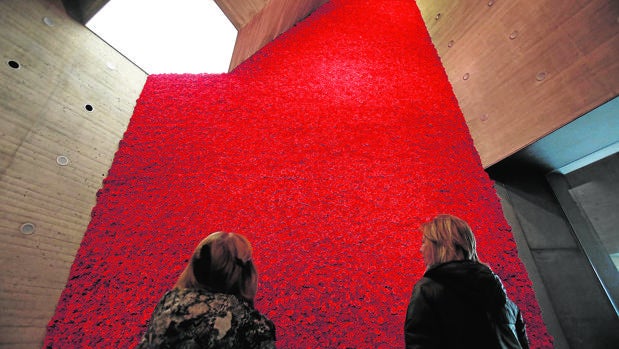 ¿Quieres ver flores en Flora? Están en el Centro de Arte Contemporáneo de Córdoba