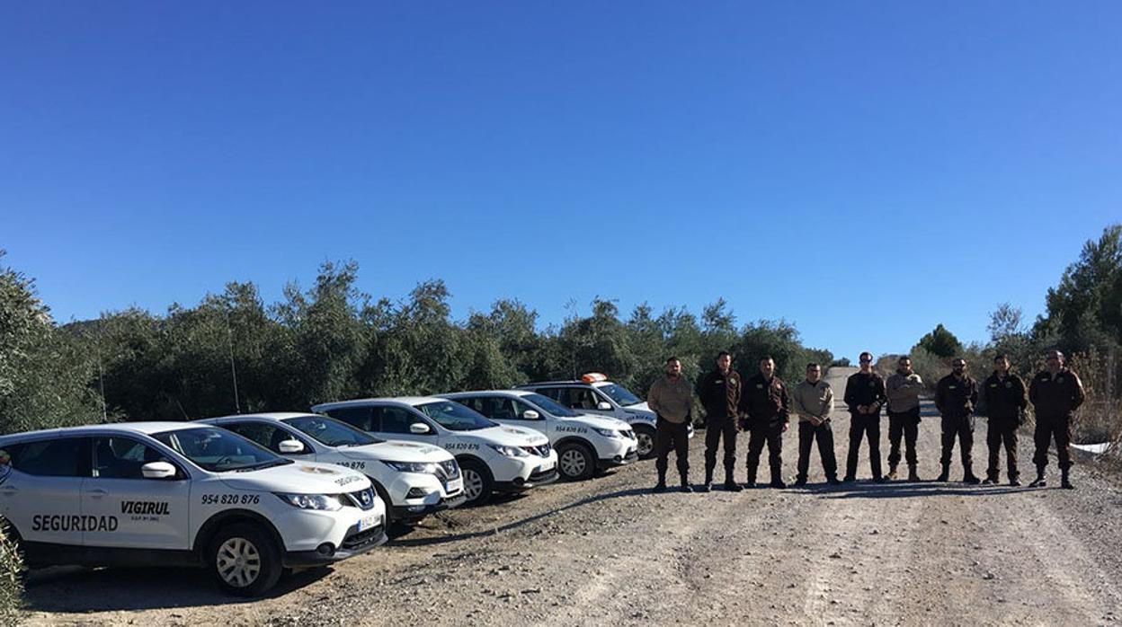 Equipo de vigilancia privada para la campaña olivarera en el término municipal de Lucena