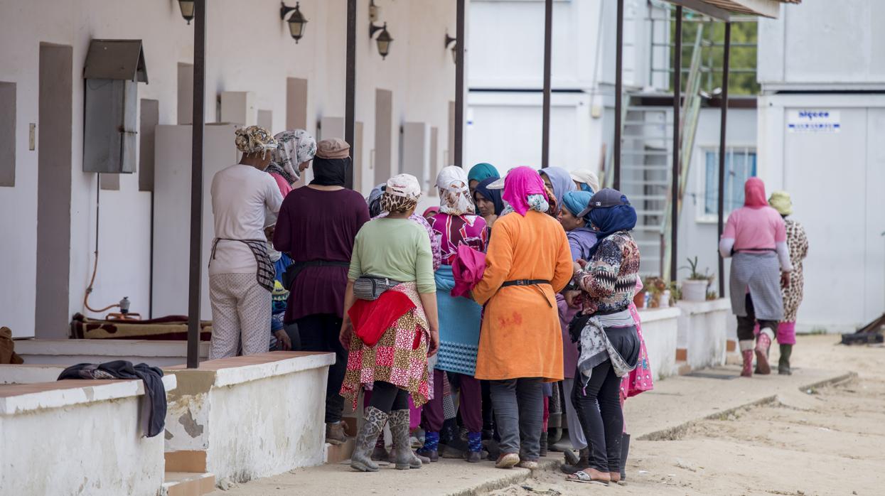 Mujeres temporeras en un receso de su trabajo