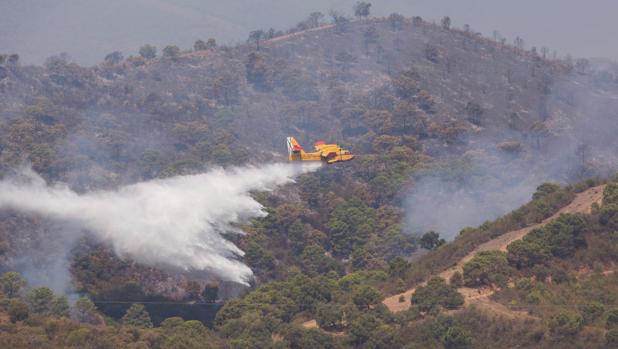 Extinguido el incendio en la ribera del río Guadalquivir en Córdoba