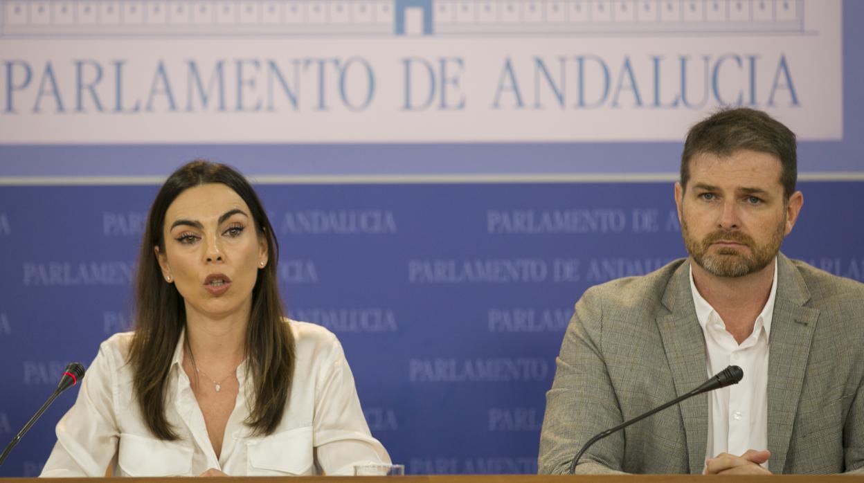 El presidente de la comisión de la Faffe, Enrique Moreno, de Ciudadanos