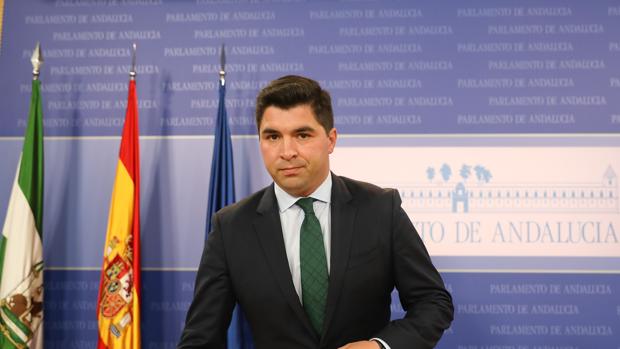 Todos  los partidos andaluces critican el «circo» de la comisión de la Faffe