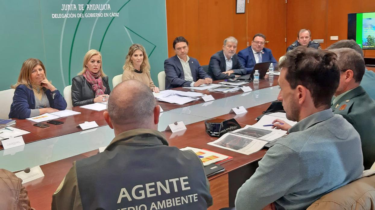 Imagen de la reunión del comité asesor del Plan Infoca 2019