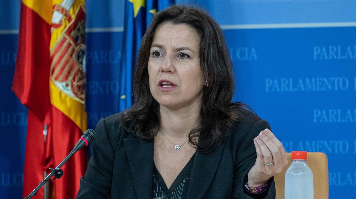 La portavoz del PP-A en la comisión de Faffe, Ana Vanessa García