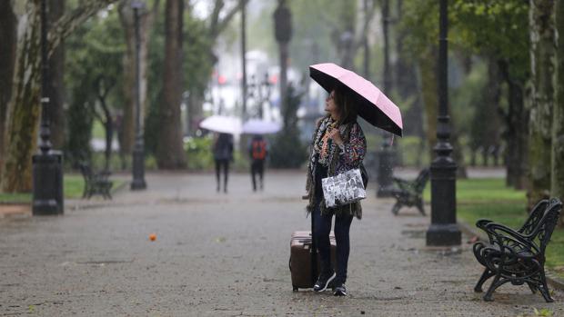 El tiempo en Córdoba | Lunes con alerta amarilla por vientos de hasta 70 kilómetros por hora