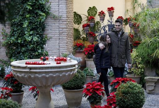 Una pareja en el patio de la Cancela del Palacio de Viana de Córdoba