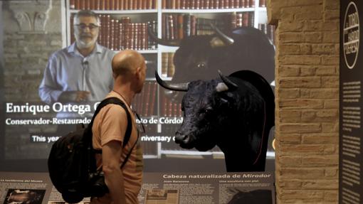 Museo taurino de Córdoba