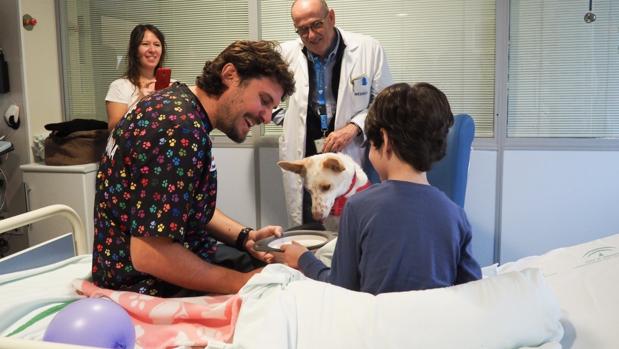 Pecas y Garbanzo, los «terapeutas caninos» para los niños ingresados en un hospital de Málaga