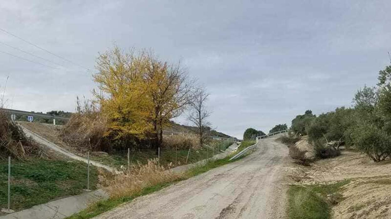 Los agricultes denuncian el estado del acceso