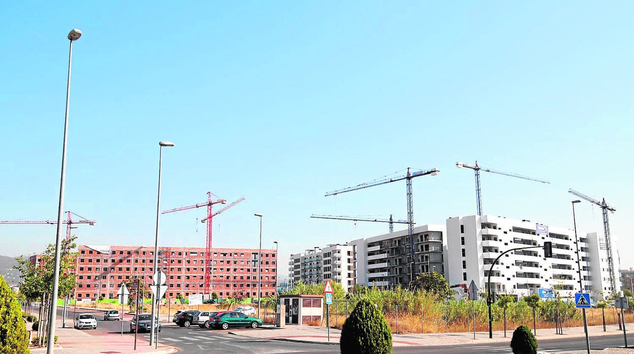 Bosque de grúas en la zona de nuevo Zoco de la capital cordobesa