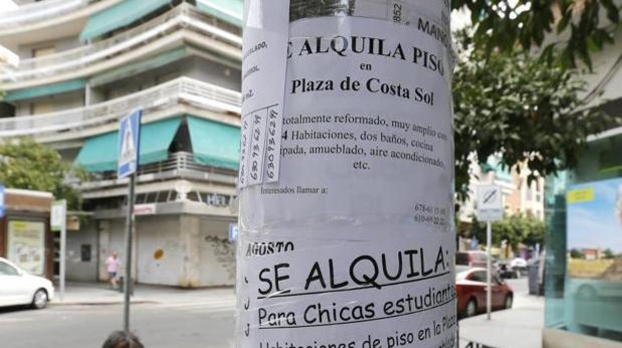 Cartel anunciando pisos en alquiler en Córdoba