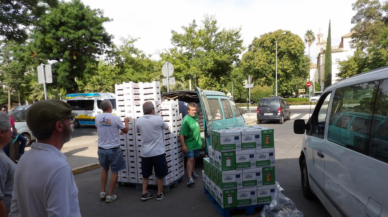 Reparto de frutas y verduras del Banco de Alimentos