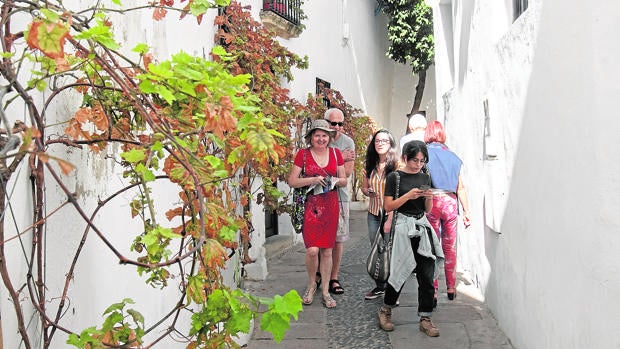 Córdoba pierde para 2020 el Festival de las Callejas y el Memorial López de Haro