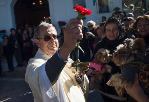 La ermita de San Antón de Mijas recibe a numerosos vecinos con sus animales para que sean bendecidos