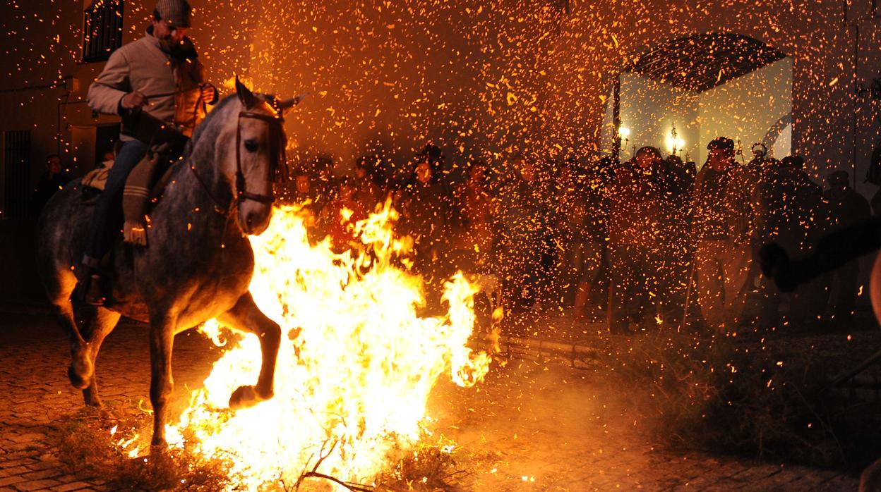 El día de San Antón se celebra en Alosno (Huelva) con los jinetes a caballo saltando las luminarias